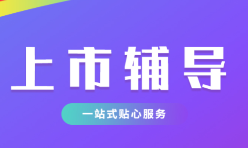上市輔導(dǎo)
